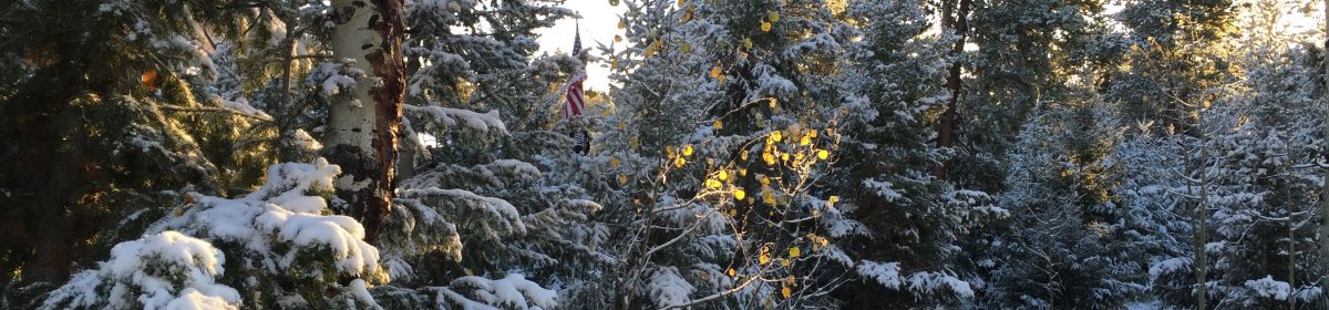 SwensonCommunications Copyright 2024